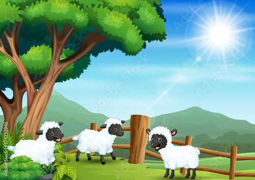 Illustration three sheep playing at the farmland