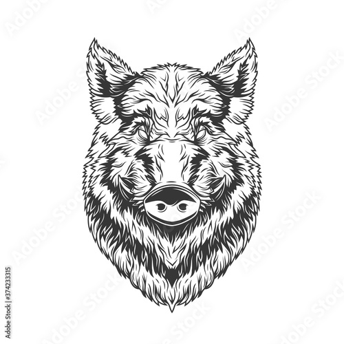 Original monochrome vector illustration of a boar's head in vintage style. T-shirt design