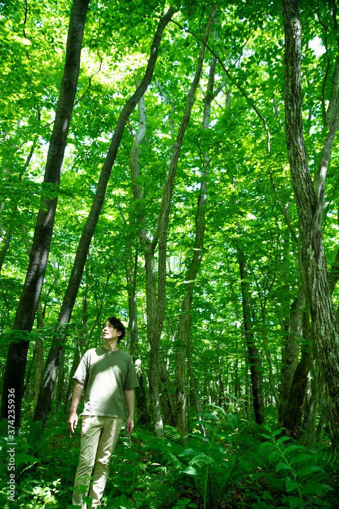 Mature Man Relaxing in the Forest Mature Man Relaxing in the Forest