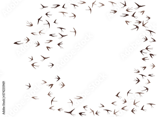 Flying martlet birds silhouettes vector illustration. Migratory martlets group isolated on white. 