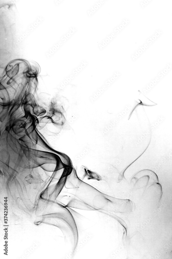 Fototapeta premium Smoke toxic movement on a white background.