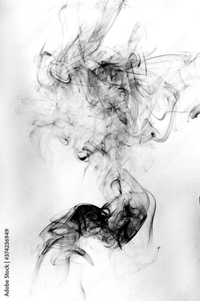 Fototapeta premium Smoke toxic movement on a white background.