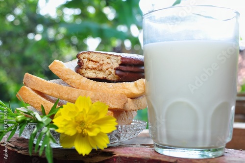 Dry rusk bread, choco pie chocolate and a glass of milk isolated on nature background. Healhty breakfast menu