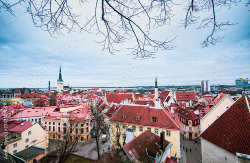 Toompea hill with tower Pikk Hermann, Cathedral Church of Saint Mary Toomkirik and Russian Orthodox Alexander Nevsky Cathedral, view from the tower of St. Olaf church, Tallinn,  photo