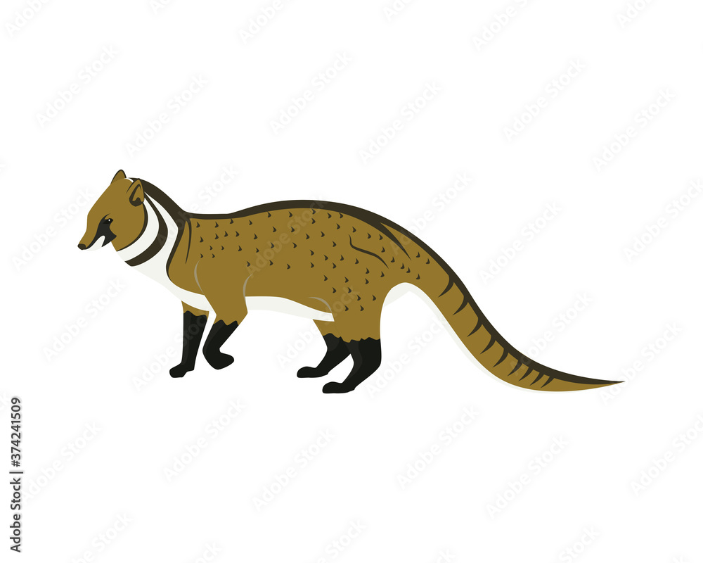 Detailed Civet with Standing Gesture Illustration