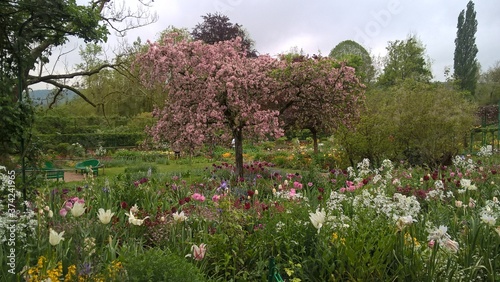 Wallpaper Mural Admiring the flowers and landscapes of our world Torontodigital.ca