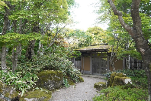 夏の日本庭園と日本家屋の古い門/The gate of Japanese historical house and japanese style garden in summer