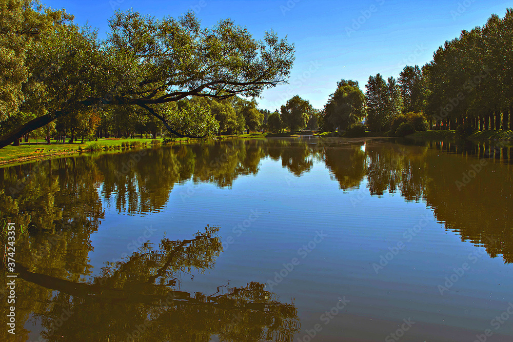 Nature. Summer park. Nature. Summer park.