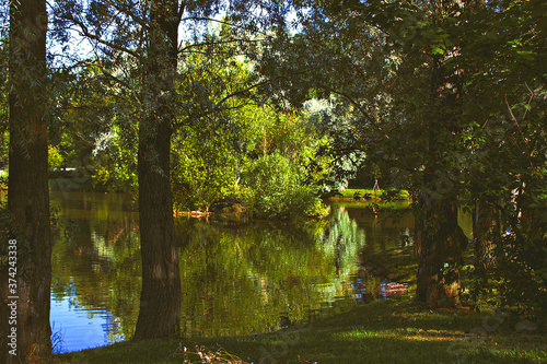 Nature. Summer park.
