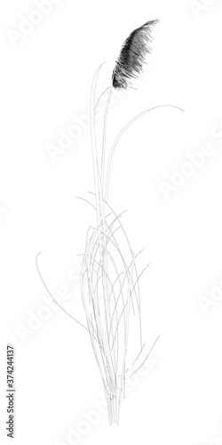 Detailed outline flower isolated on white background. 3D. Vector illustration