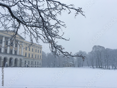 The Oslo Royal Oslo palace surrounded with fresh November snow