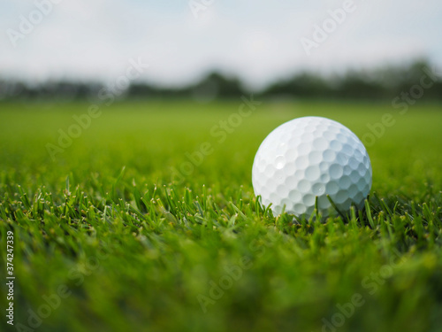 Golf ball on the green grass golf course