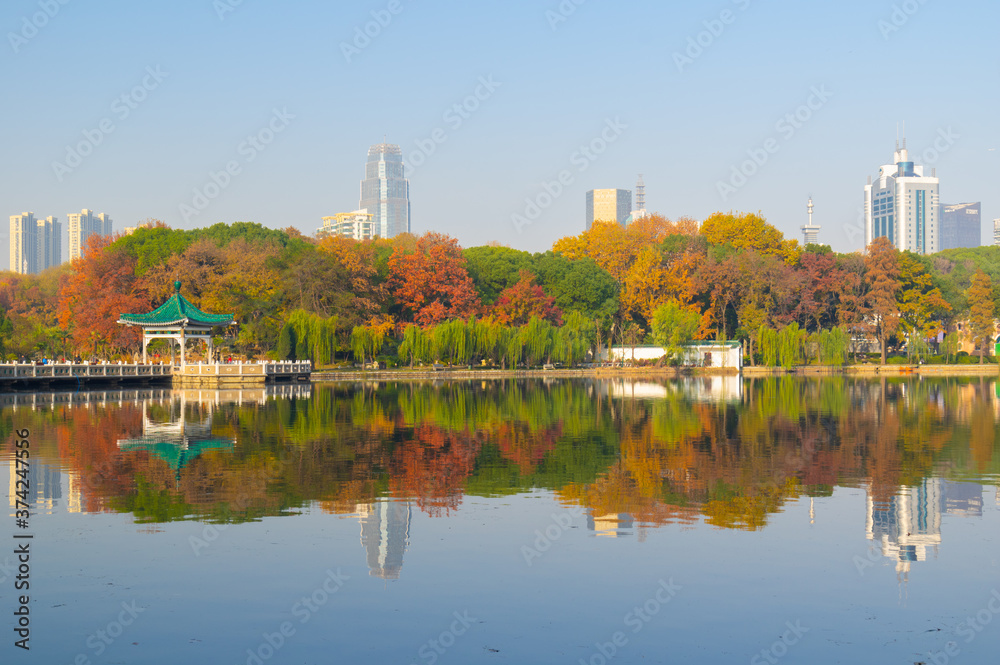 Hubei Wuhan East Lake Scenic Area Late Autumn  Scenery