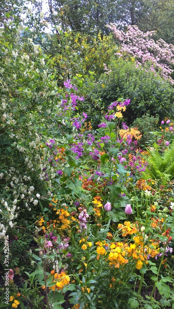 Admiring the flowers and landscapes of our world Admiring the flowers and landscapes of our world