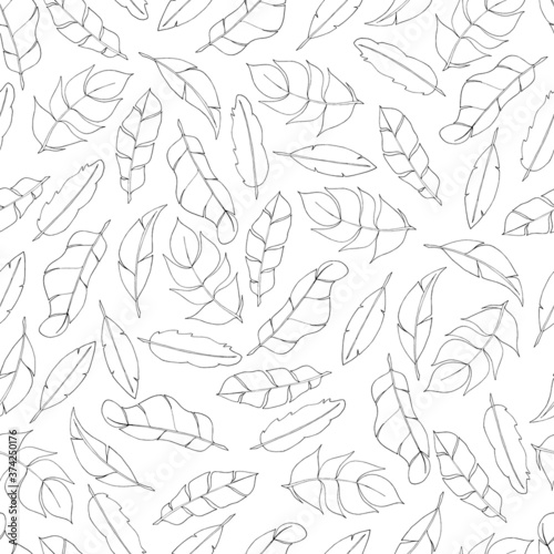 coloring book Wallpaper seamless pattern of feathers © dernat90