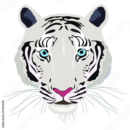 Tiger White isolated on black blue background vector