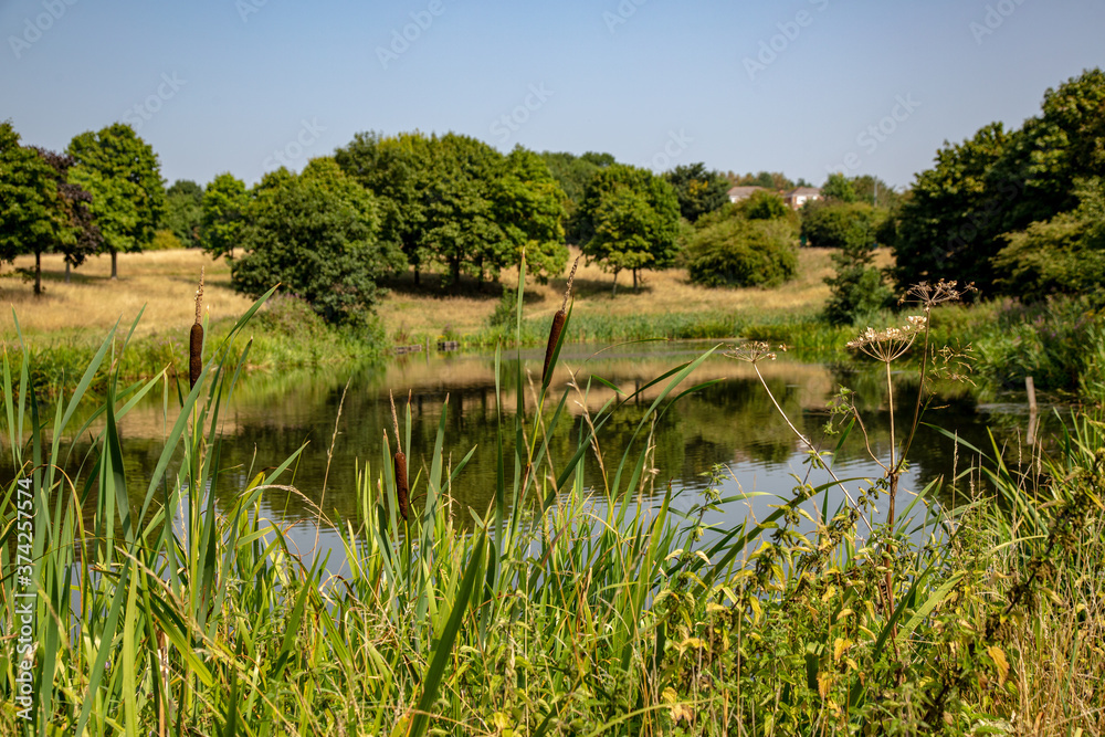 Fototapeta premium midlands canals