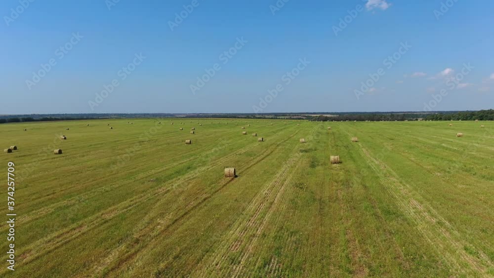 bales of hay on the field bales of hay on the field