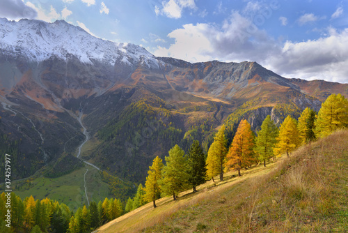 autumnal foliage trees in a beautiful alpine mountain