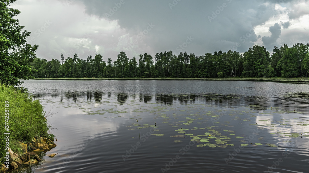 Forest lake surrounded by forest