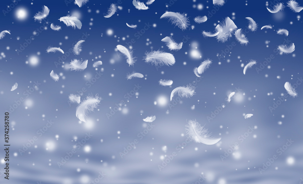 Naklejka premium Feather abstract freedom concept. Group of light fluffy a white feathers floating in night sky with snowfall. 
