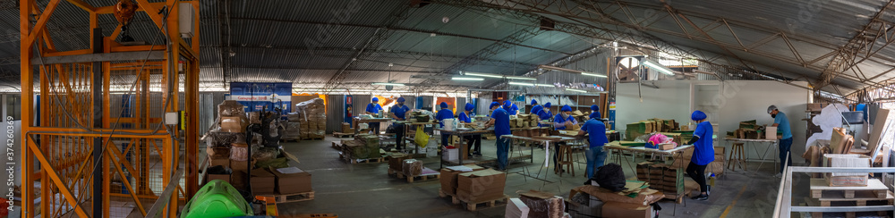 Fotografía panorámica de un grupo de trabajadores en su labor en una fábrica de imprenta