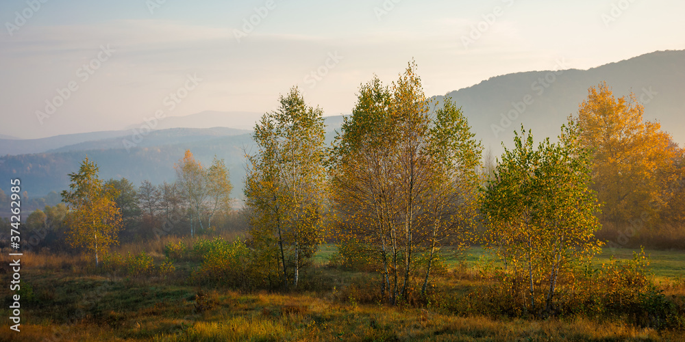 misty morning of mountainous countryside. rural landscape in autumn colors. trees on the fields in fall colors. distant mountains beneath a sky with clouds in morning light misty morning of mountainous countryside. rural landscape in autumn colors. trees on the fields in fall colors. distant mountains beneath a sky with clouds in morning light
