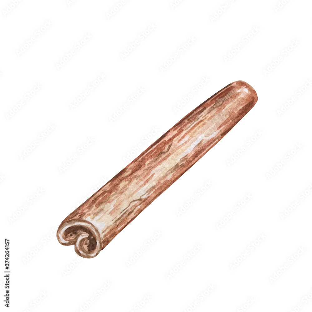 watercolor illustration spice cinnamon stick watercolor illustration spice cinnamon stick