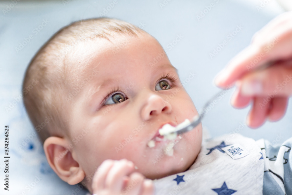 Mother feeding hungry five month old funny baby with silver spoon and solid food for first time. Beagle dog watching curiously. Mother feeding hungry five month old funny baby with silver spoon and solid food for first time. Beagle dog watching curiously.