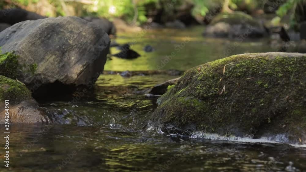 close up of water flowing between mossy boulders in a creek close up of water flowing between mossy boulders in a creek