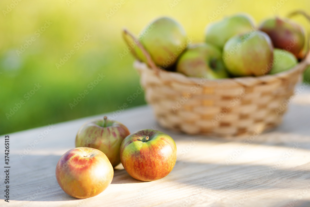 ripe apples lie on a wooden table in front of a basket of apples in soft focus