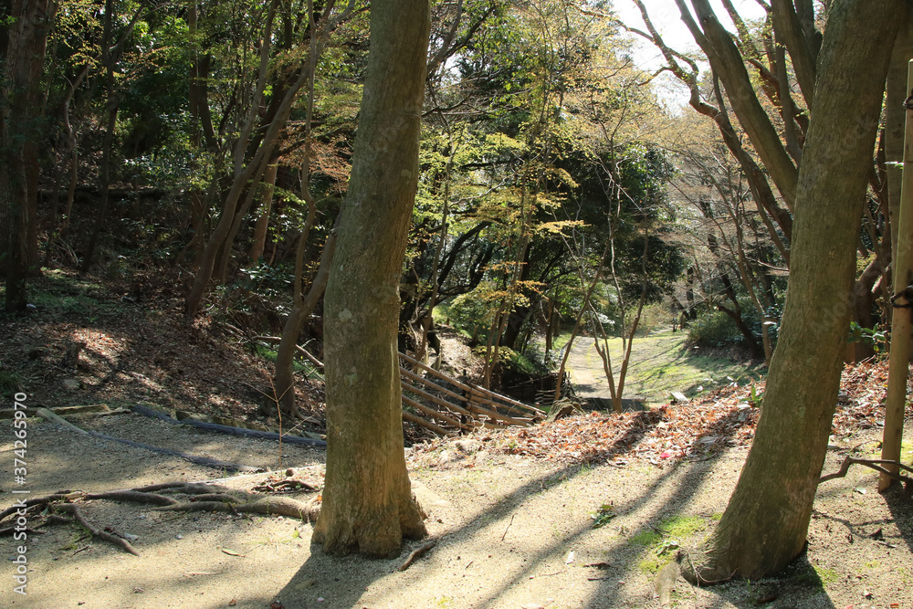 Naklejka premium 早春の公園