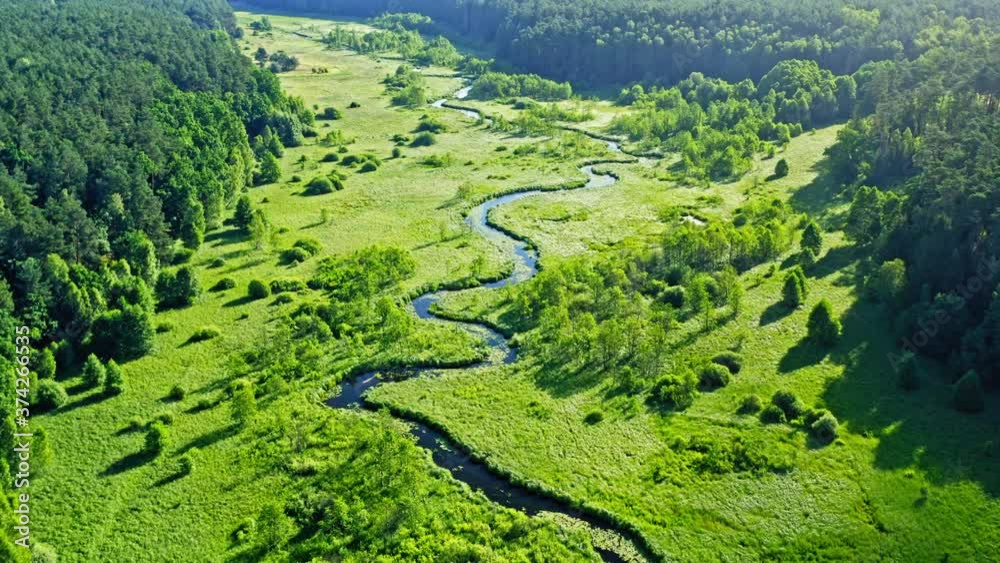 Stunning aerial view of river and green forest in summer Stunning aerial view of river and green forest in summer