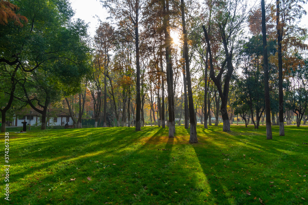 Hubei Wuhan Liberation Park late autumn scenery Hubei Wuhan Liberation Park late autumn scenery
