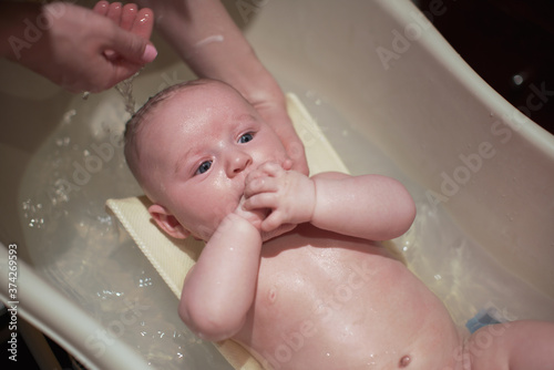 Infant baby boy washed in small bath tub, mother hands near, view from above