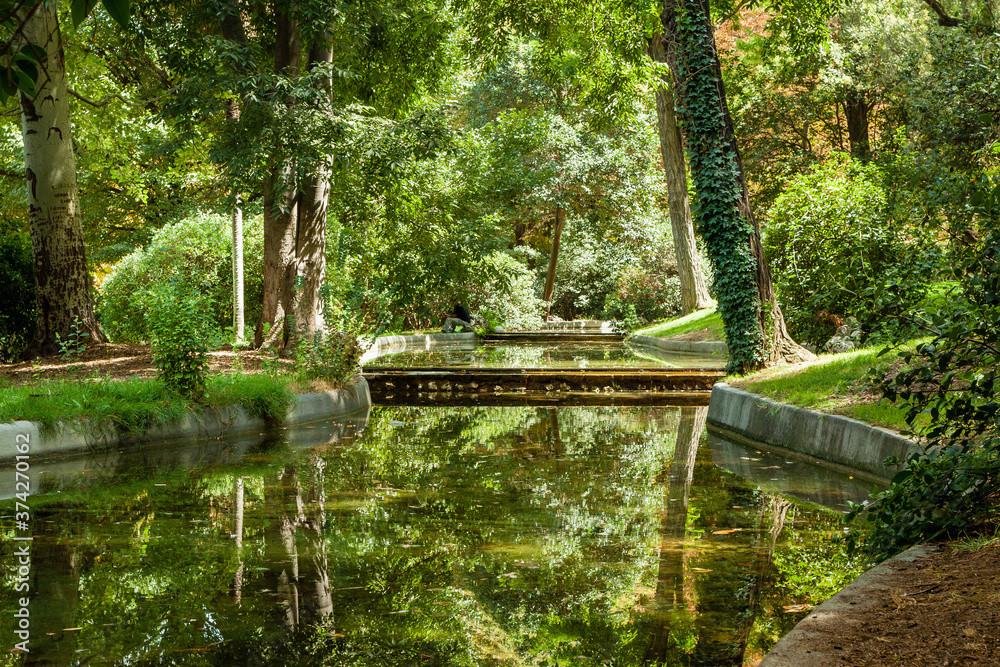 Green trees near the small lake in the park of Madrid, Spain during the sunny day
