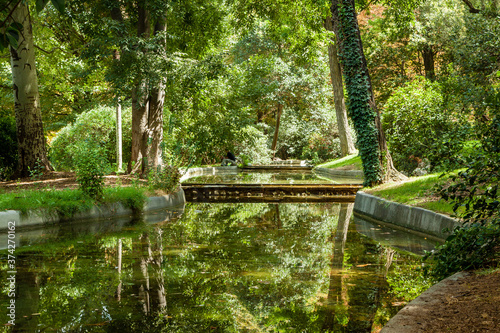 Obraz na płótnie Green trees near the small lake in the park of Madrid, Spain during the sunny day w salonie