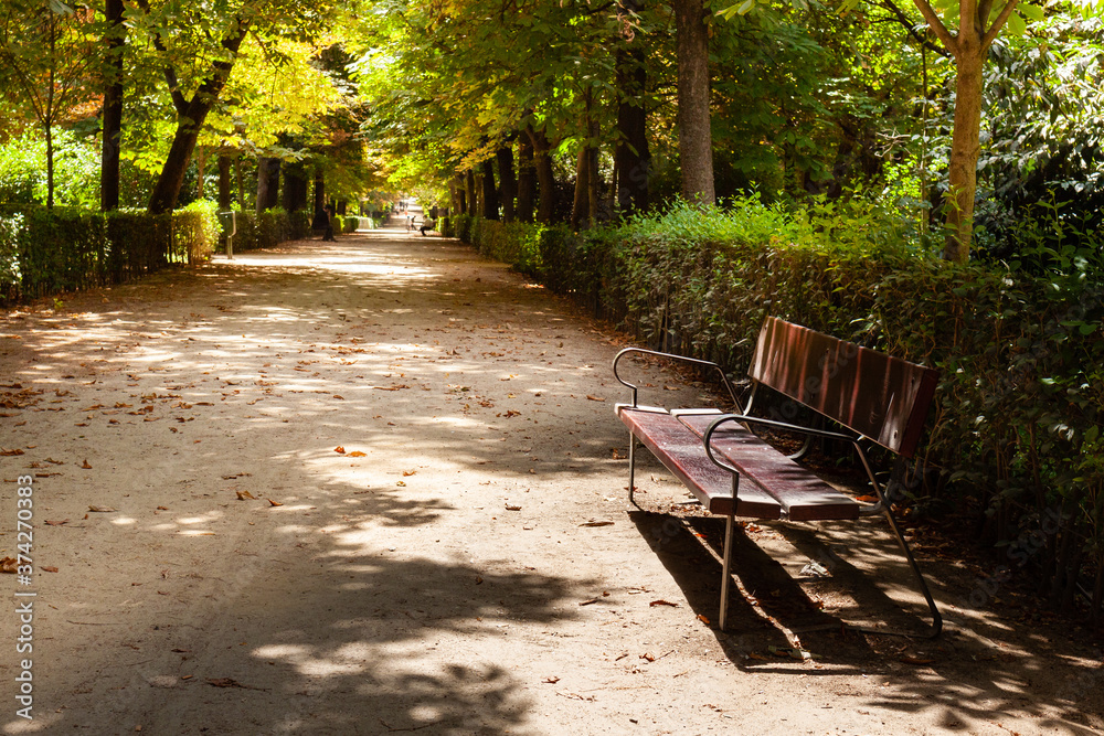 The bench in the park of Madrid, Span