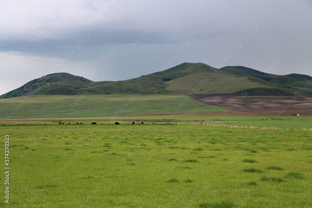 Rolling green hills and rural farms in Southern Idaho