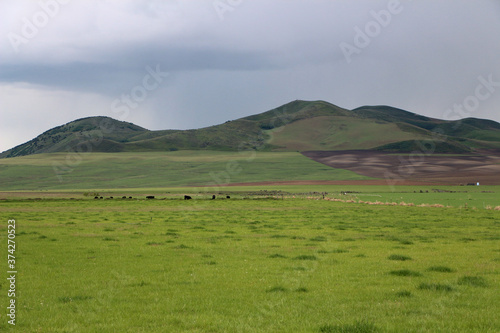 Rolling green hills and rural farms in Southern Idaho