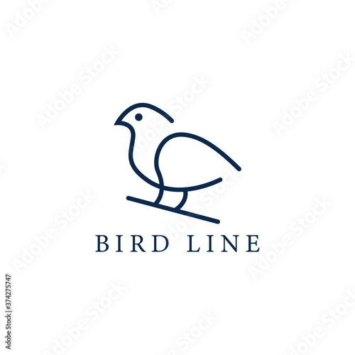 Bird line logo template