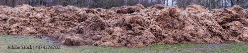 Photos big fresh dung hill on meadow in winter