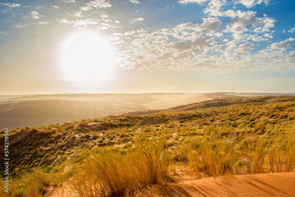 Obraz premium Dreamy dune landscape during sunset of the dunes in Sossusvlei, Namibia