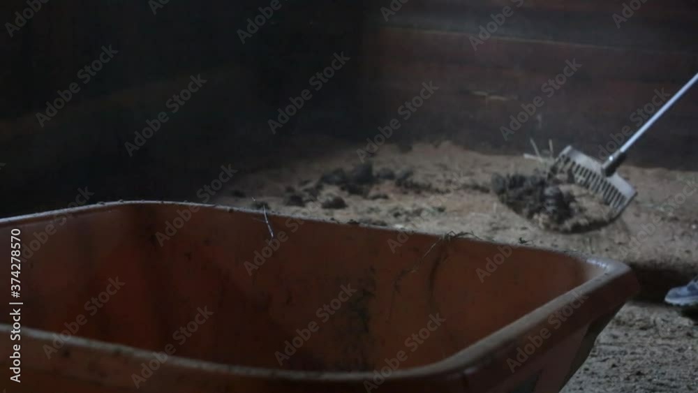 Manure & Bedding Fork cleaning the floor of a horse box stall or stable