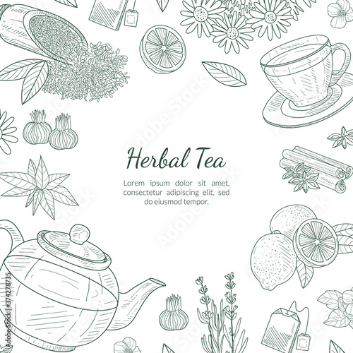 Herbal Tea Banner Template, Cafe, Restaurant Menu or Tea Shop Design Hand Drawn Vector Illustration