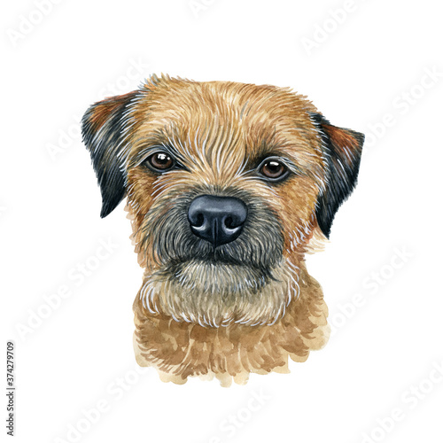 Obraz na plátně Watercolor illustration of a funny dog