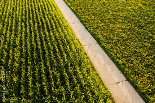 фотографія Areal view of crop fields in sunny summer day in Austria