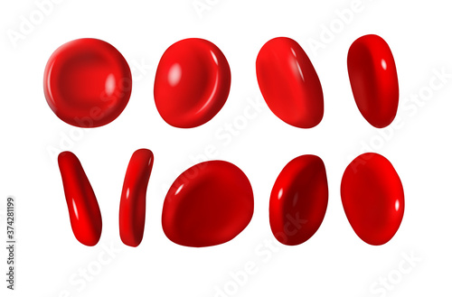 Erythrocytes, red cells in the blood vessels of the body. 3d vector illustration