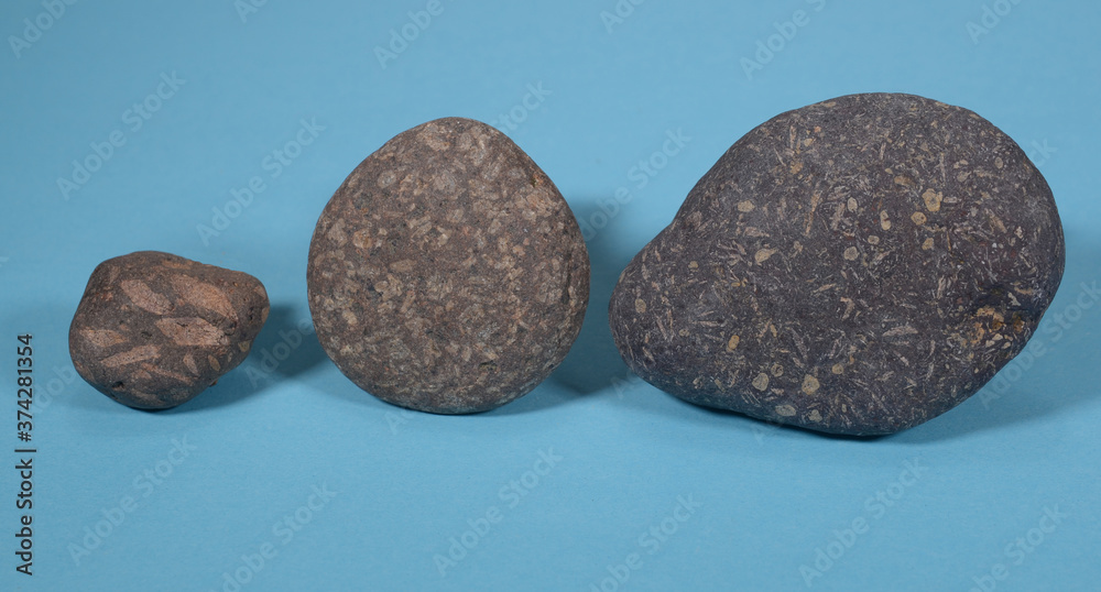 Fototapeta premium Three specimen of Rhomb-porphyry stones. They are a product of an ice age 2.6 mio years ago and caused by crystallisation of two different molten stone types.