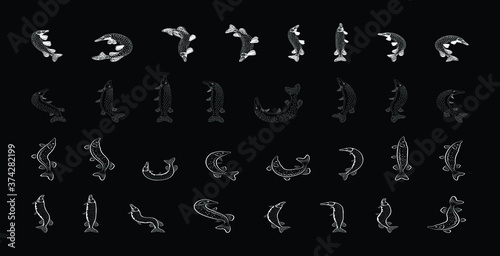 Musky Tiger musky and Northern Pike. line style. vector illustration of fish predators.